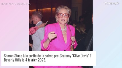 Sharon Stone en larmes : l'actrice explique avoir perdu la moitié de sa fortune