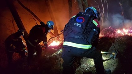 인천 계양구 아파트 뒷산 불...20분 만에 진화 / YTN