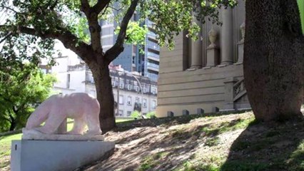 El Oso Polar de la Antártida que viaja por Córdoba Argentina