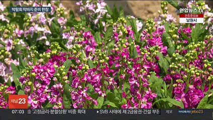 개막 앞둔 순천만국제정원박람회…정원으로 바뀐 도심