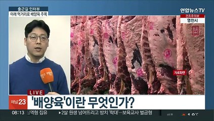 [출근길 인터뷰] '채끝살'만 따로 키운다…배양육이 뭐기에?
