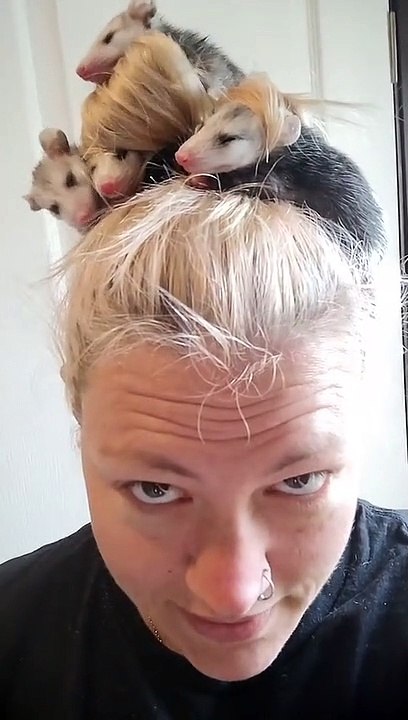 Opossum Mom Life