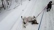 Hound Dog Gets Dragged by Friend During Walk in Snow