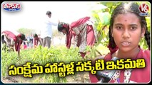 Adilabad Welfare Students Vegetable Farming In Residential Hostel | V6 Weekend Teenmaar