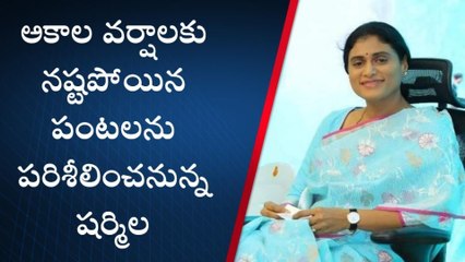 వికారాబాద్: నేడు జిల్లాలో వైఎస్ షర్మిల పర్యటన
