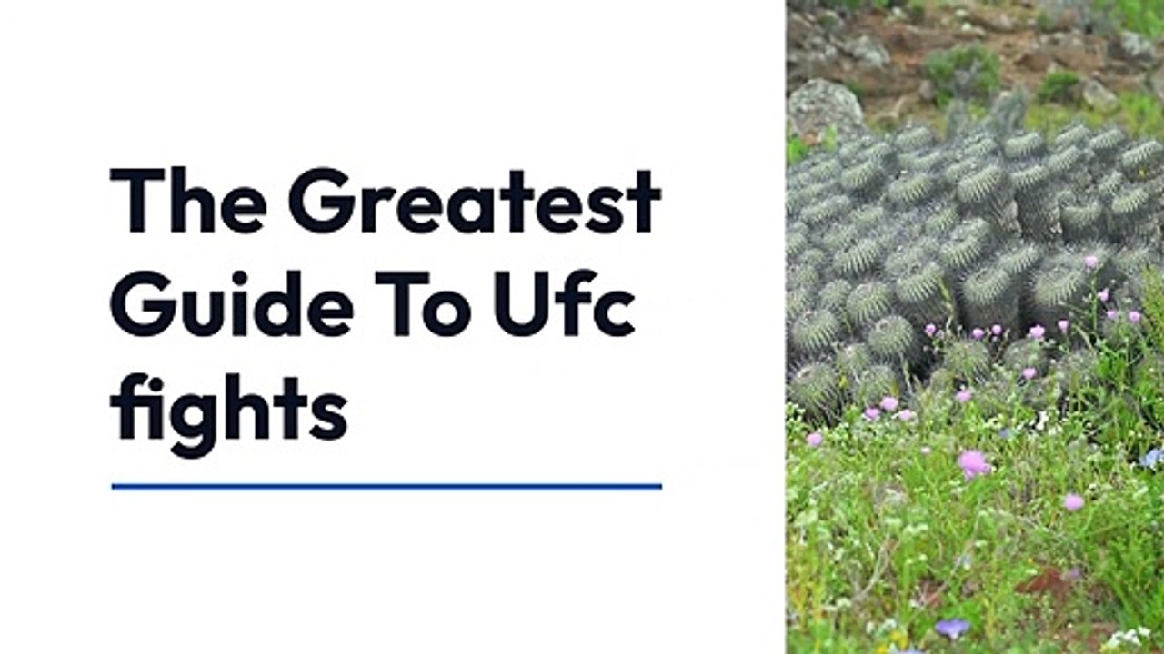 The Greatest Guide To Ufc fights