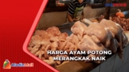 Jelang Ramadan, Harga Ayam Potong di Jakarta Tembus Rp35 Ribu per Kg