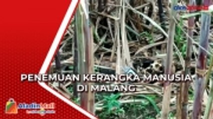 Warga Malang Temukan Kerangka Manusia di Kebun Tebu