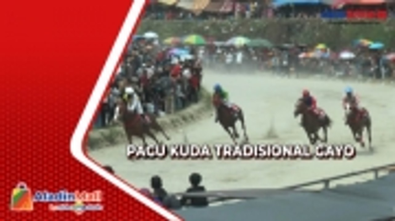 Pacu Kuda Tradisional Gayo, Atraksi Budaya Sejak Zaman Belanda