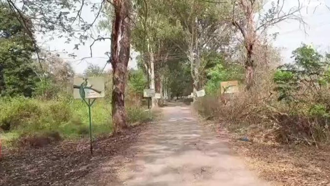 సంగారెడ్డి: మంజీరా డ్యామ్‌కి తగ్గిన టూరిస్టులు.. కారణం ఇదే