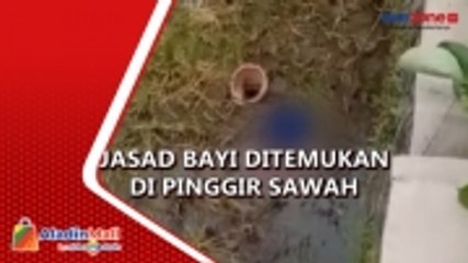 Descargar video: Baru Dilahirkan, Jasad Bayi Laki-Laki Ditemukan Lengkap dengan Ari-Ari di Pinggir Sawah