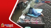 Banjir Pekalongan, Warga Memilih Mengungsi di Bantaran Rel