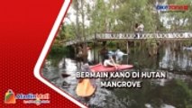 Serunya Bermain Kano di Tengah Hutan Mangrove Banyuwangi