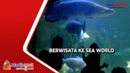 Libur Tahun Baru, Ratusan Orang BBerwisata ke Sea World