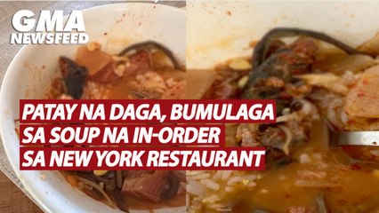 Patay na daga, bumulaga sa soup na in-order sa New York restaurant | GMA News Feed