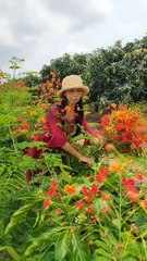 Enjoy beautiful nature with rural life