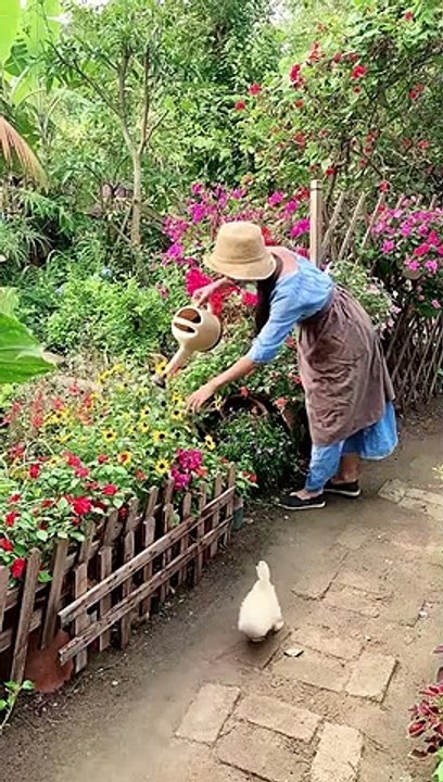 Enjoy beautiful nature with rural life