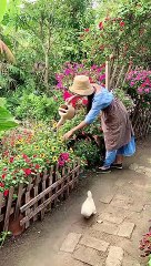 Enjoy beautiful nature with rural life