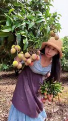 Enjoy beautiful nature with rural life