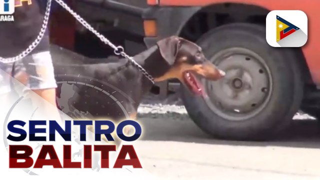 DA, nanawagan sa pet owners n pabakunahan ang mga alagang hayop vs. rabies