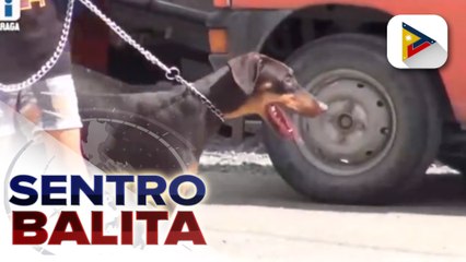 DA, nanawagan sa pet owners n pabakunahan ang mga alagang hayop vs. rabies