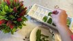 Summer Special Frozen Mint Leaf Ice Cubes  Recipe & Tips By CWMAP