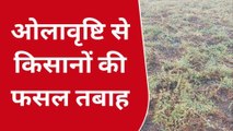 अयोध्याः बारिश ओलावृष्टि होने से किसान की फसल को भारी नुकसान,नहीं पहुंचे राजस्व कर्मी