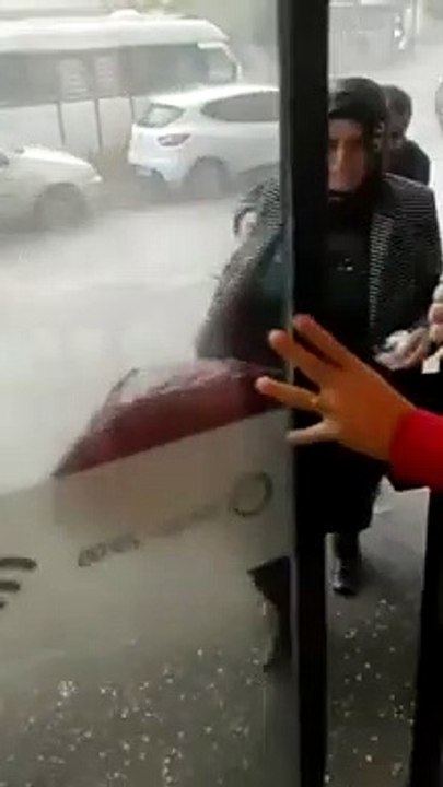 Un oiseau vient se réfugier dans un magasin pendant un orage de grêle