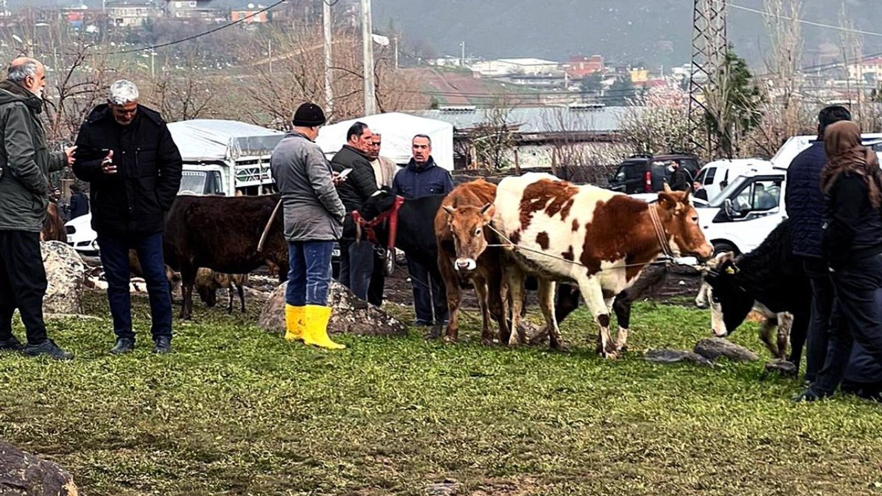 Burası kapalı, ama kağıt üzerinde: Zabıta aracında çay içiyor, celepler ve kasaplar cirit atıyor