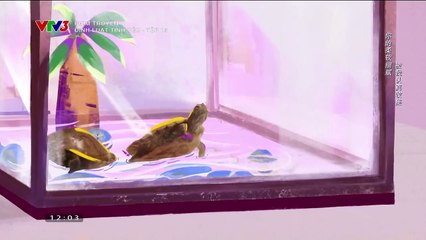 định luật tình yêu tập 15 - vtv3 thuyết minh - phim trung quốc - xem phim dinh luat tinh yeu tap 16