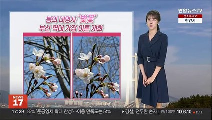 [날씨] 따뜻한 봄…내일~모레 제주 최고 30㎜ '비'