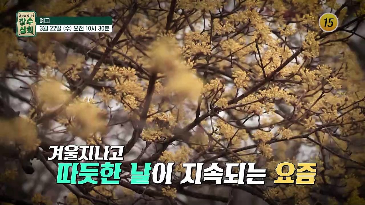 중년 맞춤형 다이어트 성공법을 찾아라!_장수상회 34회 예고 TV CHOSUN 230...