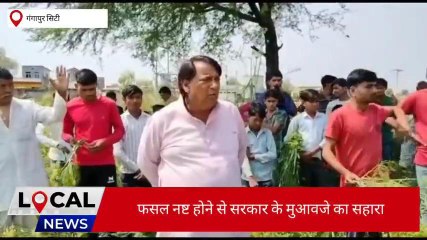 गंगापुर सिटी: कुदरत ने किसानों पर बरपाया कहर, पूर्व विधायक ने लिया जायजा