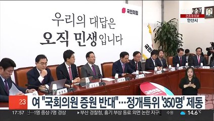 여 "국회의원 증원 반대"…정개특위 '350명'에 제동