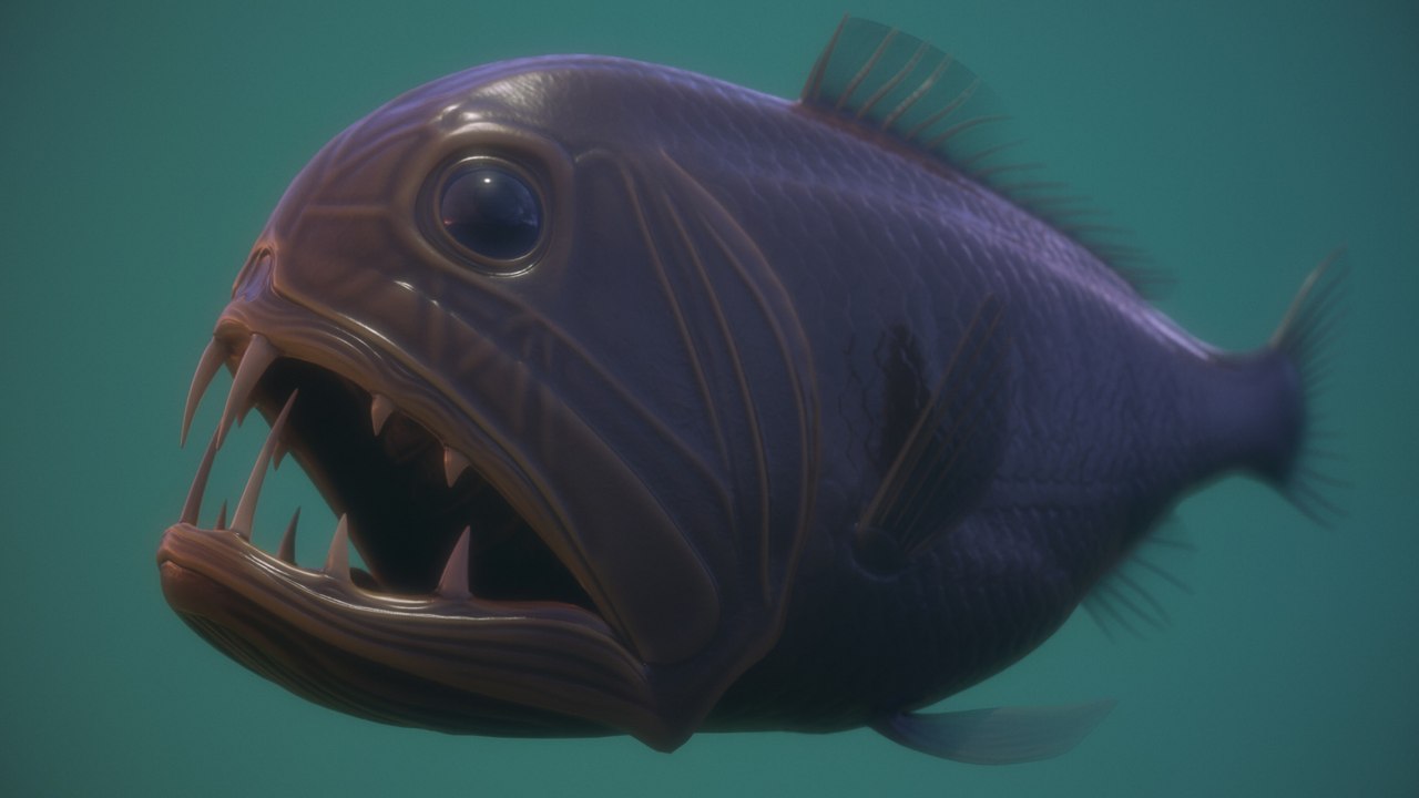 Tout savoir sur le poisson-ogre, prédateur aux dents terrifiantes