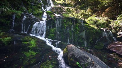 Escape to Serenity: Soothing Nature Sounds for Ultimate Relaxation