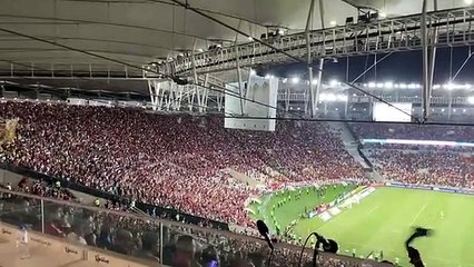 Vítor Pereira insultado