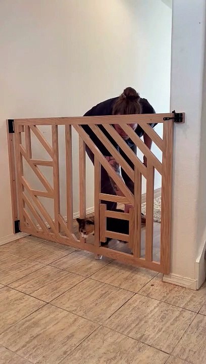 Hilarant : quand ton chat se moque de ton invention