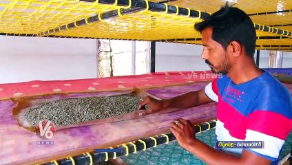 Software Techie Starts Mulberry (Pattu Purugu) Cultivation, Earns Huge Profits _ Mahabubnagar _ V6