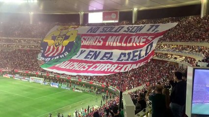 millions. And in heaven many hearts  Chinita skin before color in the stands between #Chivas and #América  #ElClásicoDeMéxico