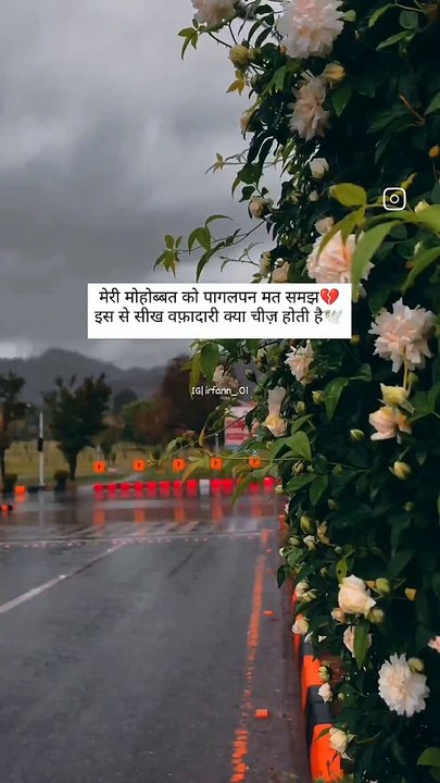 मेरी मोहोब्बत को पागलपन मत समझ इस से सीख वफ़ादारी क्या चीज़ होती है