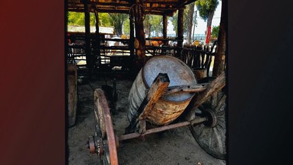 Fiesta de la Patria Gaucha 2023 - Momentos (3) - Tacuarembó, Uruguay