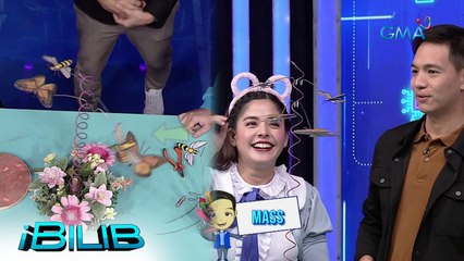 iBilib: Let’s learn Physics with this Spinning Insect Toys