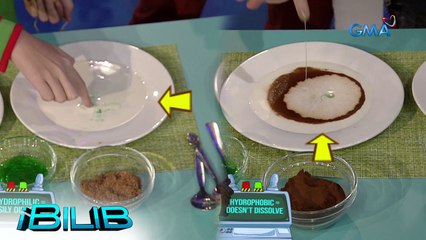 iBilib: Surface tension experiment with Sofia Pablo (Prove It to Bilib It)
