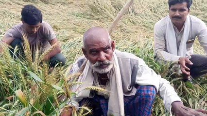 धरतीपुत्रों के अरमानों पर आफत का पानी !