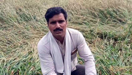 धरतीपुत्रों के अरमानों पर आफत का पानी !