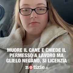 Muore il cane e chiede il permesso al lavoro: glielo negano e si licenzia