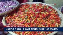 Harga Cabai Semakin Pedas Jelang Ramadan! Rawit Kini Melonjak ke Rp 100 Ribu Per Kilogram!