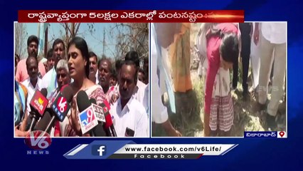 YS Sharmila Visit Farmers Over Crop Damage Due To Rains At Vikarabad _ V6 News