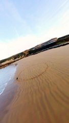 Dog Seen Running in Circles on Beach
